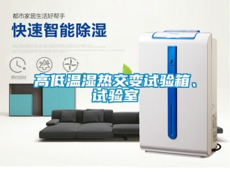 常見問題高低溫濕熱交變試驗箱、試驗室