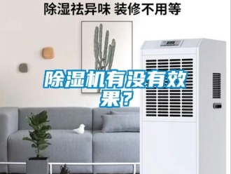 行業(yè)新聞除濕機有沒有效果？