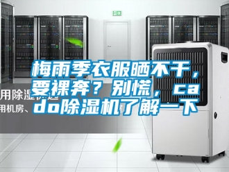 行業(yè)新聞梅雨季衣服曬不干，要裸奔？別慌，cado除濕機(jī)了解一下
