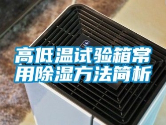 常見問題高低溫試驗(yàn)箱常用除濕方法簡析