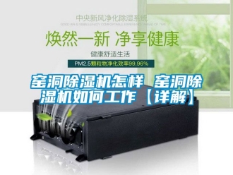 行業新聞窯洞除濕機怎樣 窯洞除濕機如何工作【詳解】