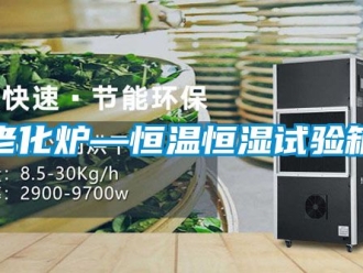 知識百科老化爐—恒溫恒濕試驗箱