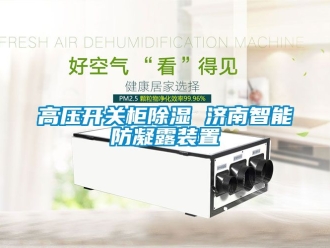 行業(yè)新聞高壓開關(guān)柜除濕 濟南智能防凝露裝置