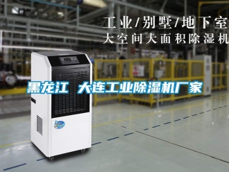 企業(yè)新聞黑龍江 大連工業(yè)除濕機(jī)廠家