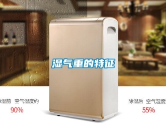 知識百科濕氣重的特征