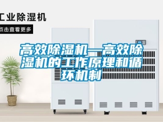 行業(yè)新聞高效除濕機(jī)—高效除濕機(jī)的工作原理和循環(huán)機(jī)制