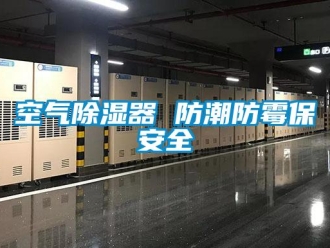 行業新聞空氣除濕器 防潮防霉保安全