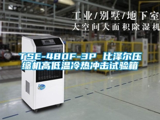 常見問題TSE-480F-3P 比澤爾壓縮機高低溫冷熱沖擊試驗箱