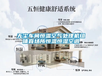 知識百科無塵車間恒溫空氣處理機組體育場所恒溫恒濕空調(diào)