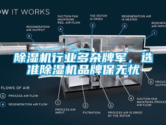 企業新聞除濕機行業多雜牌軍，選準除濕機品牌保無憂