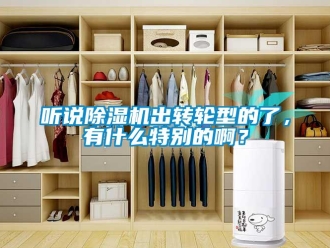 常見(jiàn)問(wèn)題聽(tīng)說(shuō)除濕機(jī)出轉(zhuǎn)輪型的了，有什么特別的啊？