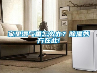 常見問題家里濕氣重怎么辦？除濕妙方在此!