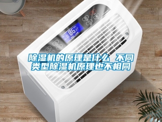 企業新聞除濕機的原理是什么 不同類型除濕機原理也不相同