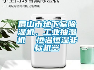 常見問題眉山市地下室除濕機，工業抽濕機  恒溫恒濕非標機器