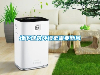 企業新聞地下建筑環境更需要新風