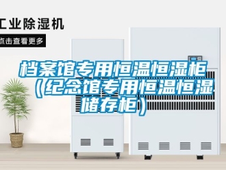 知識百科檔案館專用恒溫恒濕柜（紀念館專用恒溫恒濕儲存柜）