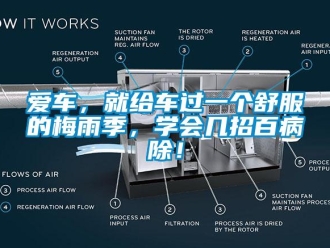 常見問題愛車，就給車過一個舒服的梅雨季，學會幾招百病除！