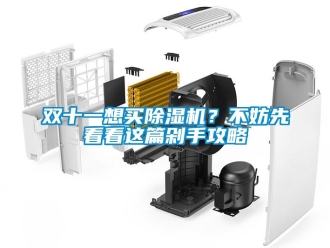 知識百科雙十一想買除濕機？不妨先看看這篇剁手攻略