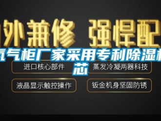 企業新聞氮氣柜廠家采用專利除濕機芯