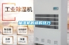 抽濕機的選購技巧