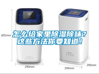 企業(yè)新聞怎么給家里除濕除味？這些方法你要知道！