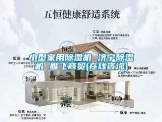 常見問題小型家用除濕機 濟寧除濕機 雁飛商貿(在線咨詢)