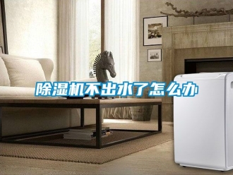 企業新聞除濕機不出水了怎么辦