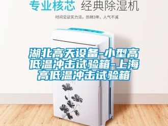 常見問題湖北高天設(shè)備-小型高低溫沖擊試驗(yàn)箱-上海高低溫沖擊試驗(yàn)箱