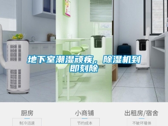 企業(yè)新聞地下室潮濕頑疾，除濕機(jī)到即刻除