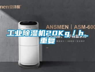 常見問題工業除濕機20Kg／h_重復