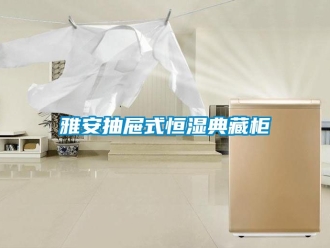 知識百科雅安抽屜式恒濕典藏柜