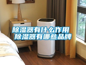 行業(yè)新聞除濕器有什么作用 除濕器有哪些品牌