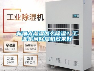 常見問題車間太潮濕怎么除濕？工業(yè)車間除濕機效果好