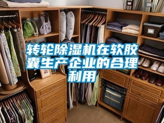 常見問題轉輪除濕機在軟膠囊生產企業的合理利用