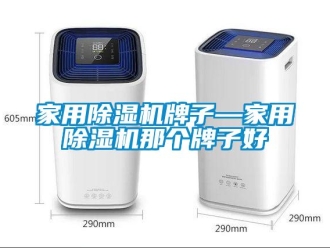 常見問題家用除濕機牌子—家用除濕機那個牌子好
