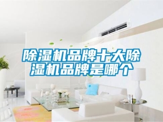 企業新聞除濕機品牌十大除濕機品牌是哪個