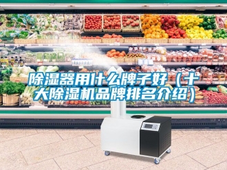 企業(yè)新聞除濕器用什么牌子好（十大除濕機品牌排名介紹）