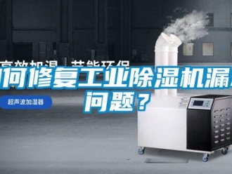 常見問題如何修復工業除濕機漏水問題？