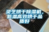 靈芝烘干除濕機，低溫高效烘干品質好