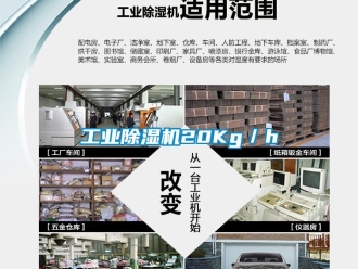 企業(yè)新聞工業(yè)除濕機20Kg／h