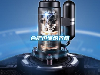 知識百科合肥恒溫培養箱