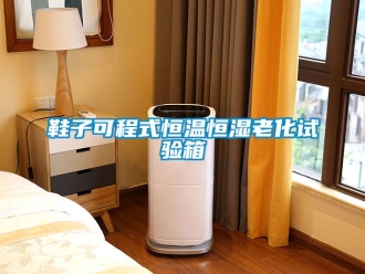 知識百科鞋子可程式恒溫恒濕老化試驗箱