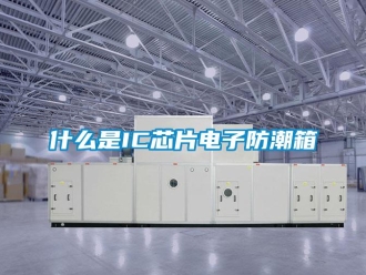 常見問題什么是IC芯片電子防潮箱