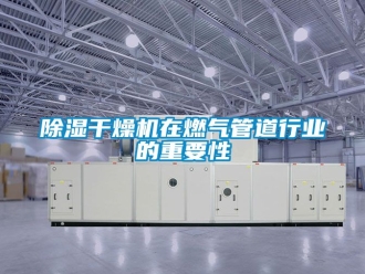 企業新聞除濕干燥機在燃氣管道行業的重要性