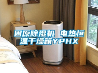 知識百科固原除濕機 電熱恒溫干燥箱YPHX