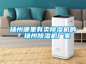 企業(yè)新聞?chuàng)P州哪里有賣除濕機(jī)的？揚(yáng)州除濕機(jī)廠家