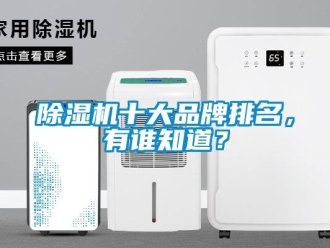 企業新聞除濕機十大品牌排名，有誰知道？