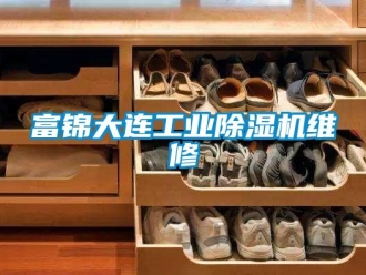 常見問題富錦大連工業除濕機維修