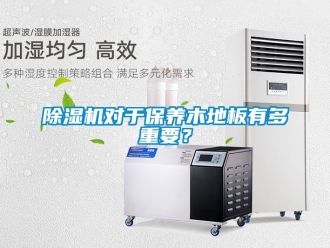 行業(yè)新聞除濕機(jī)對于保養(yǎng)木地板有多重要？