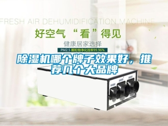 企業(yè)新聞除濕機(jī)哪個牌子效果好，推薦幾個大品牌